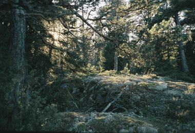 A still