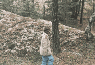 A still